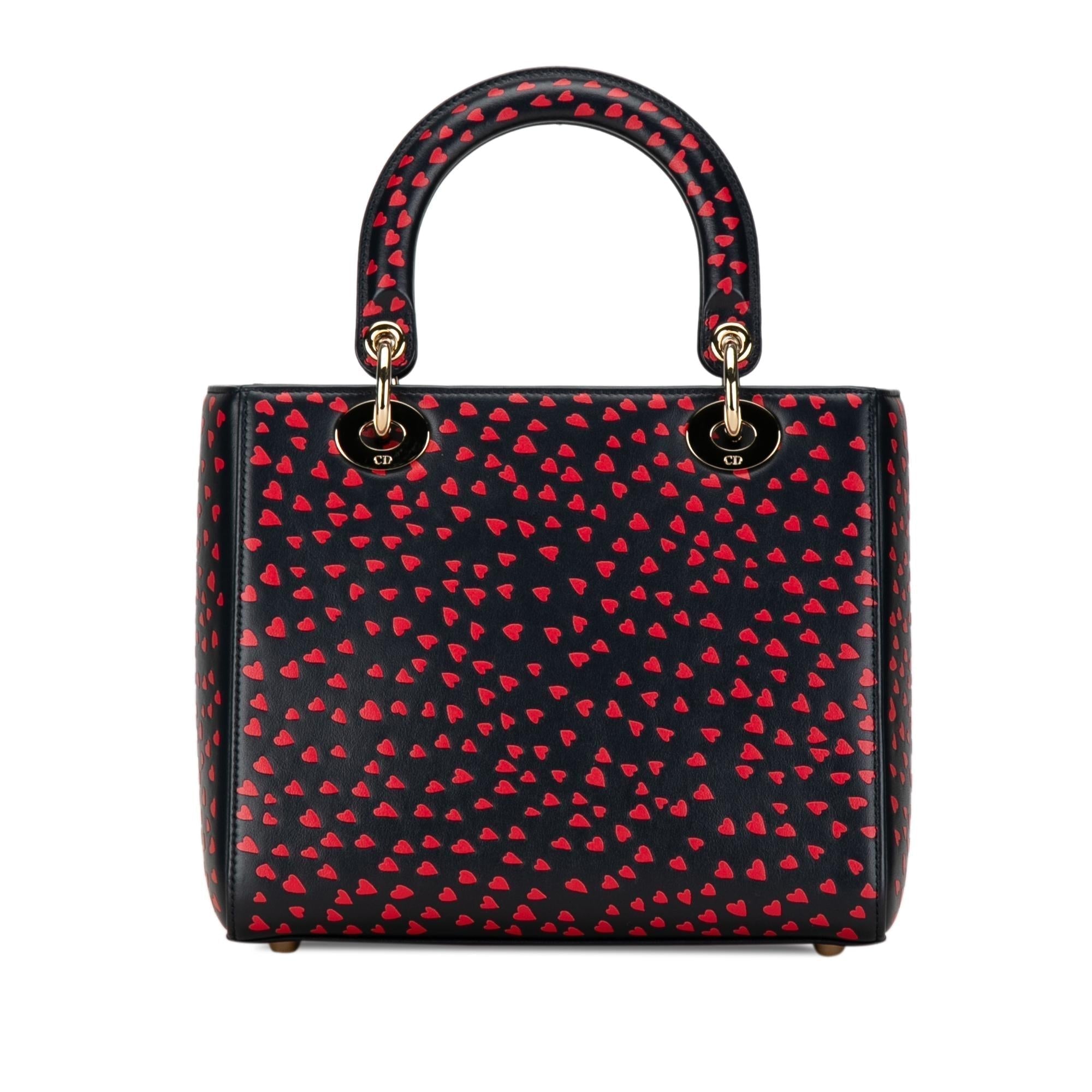 Dior Medium I Love Paris Dior Satchel