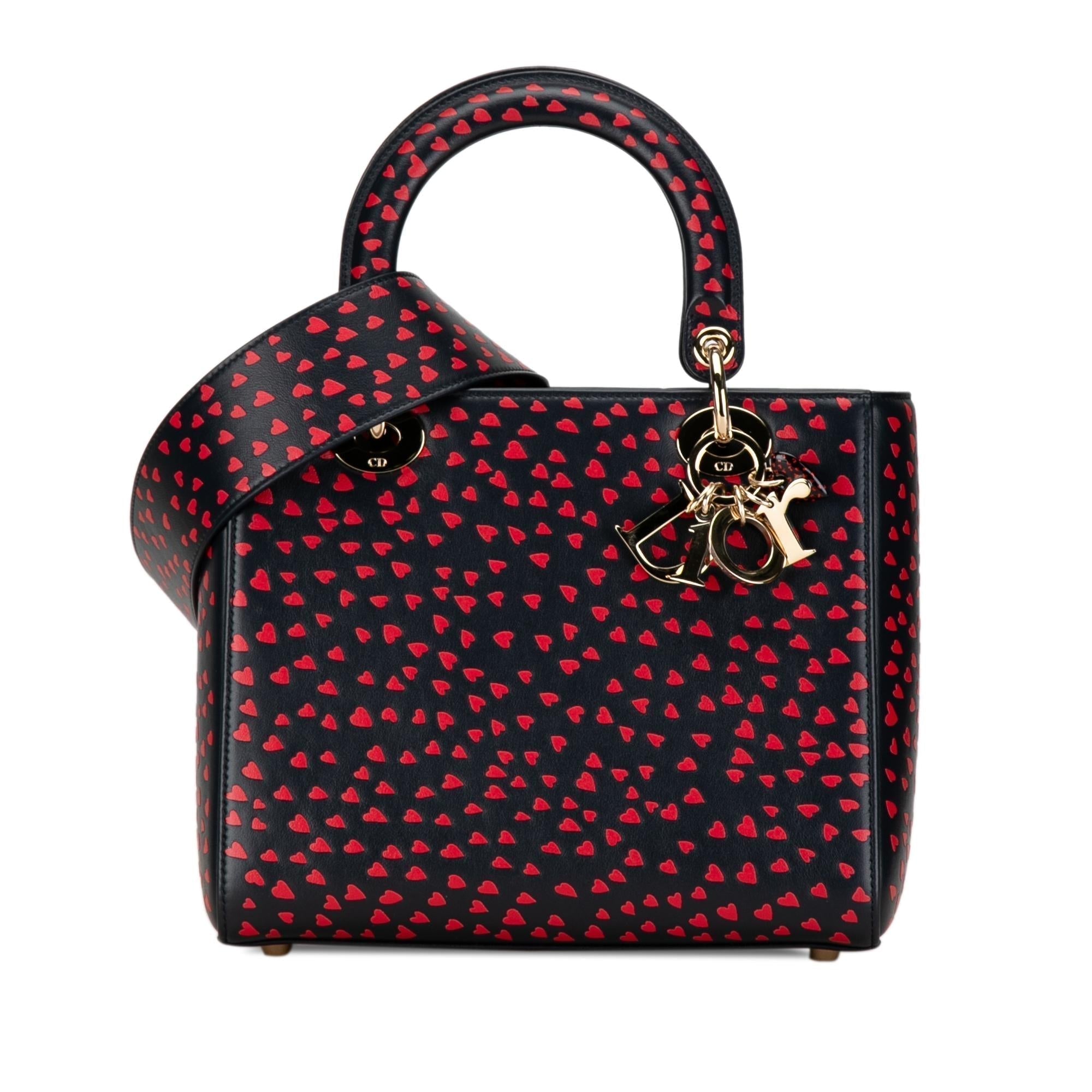 Dior Medium I Love Paris Dior Satchel
