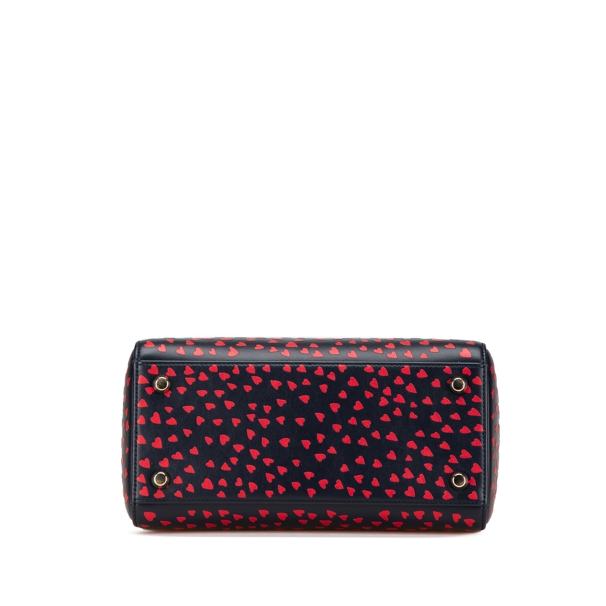 Dior Lady Dior Leather Handbag